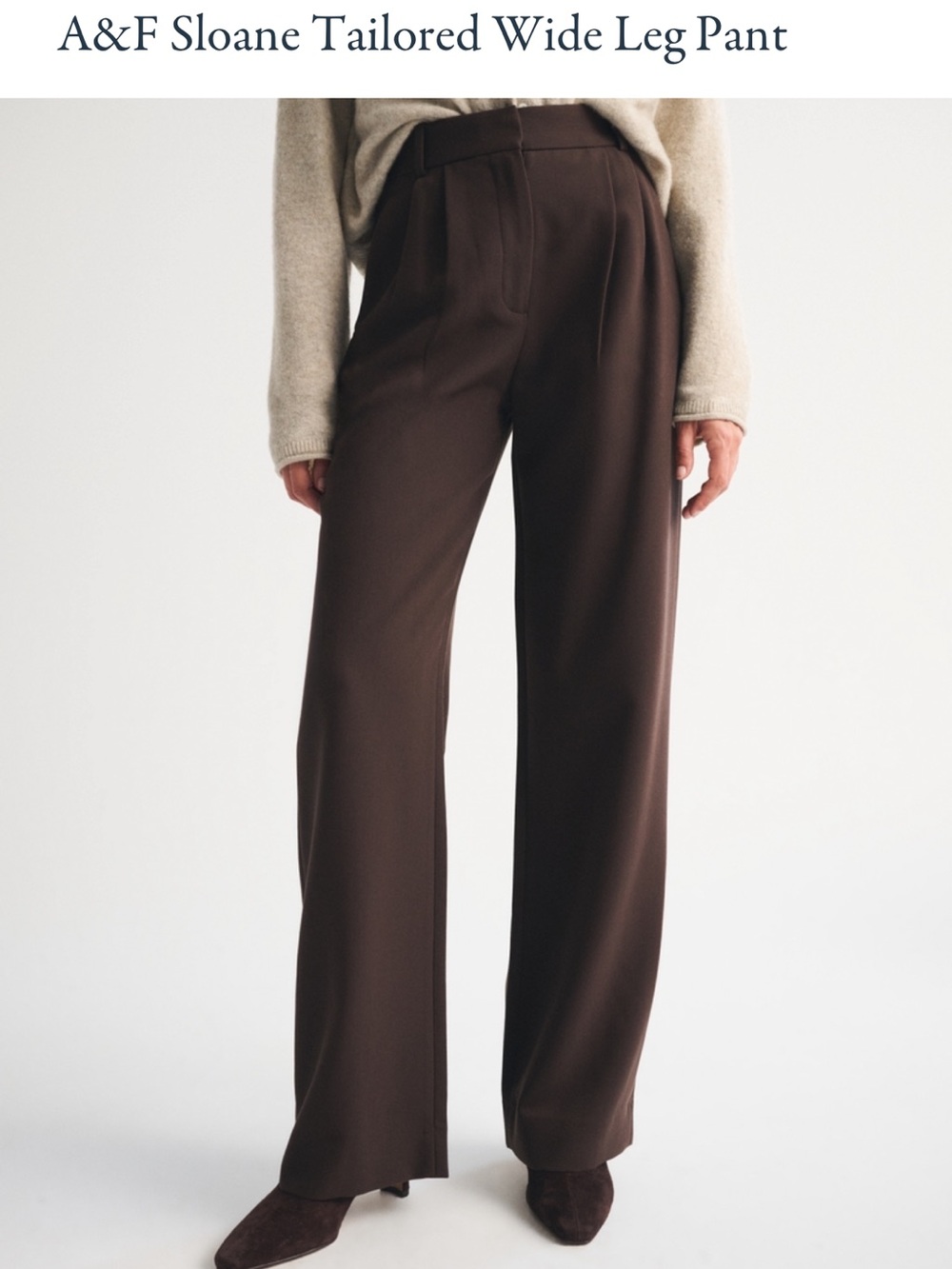 Abercrombie Sloane wide leg pant